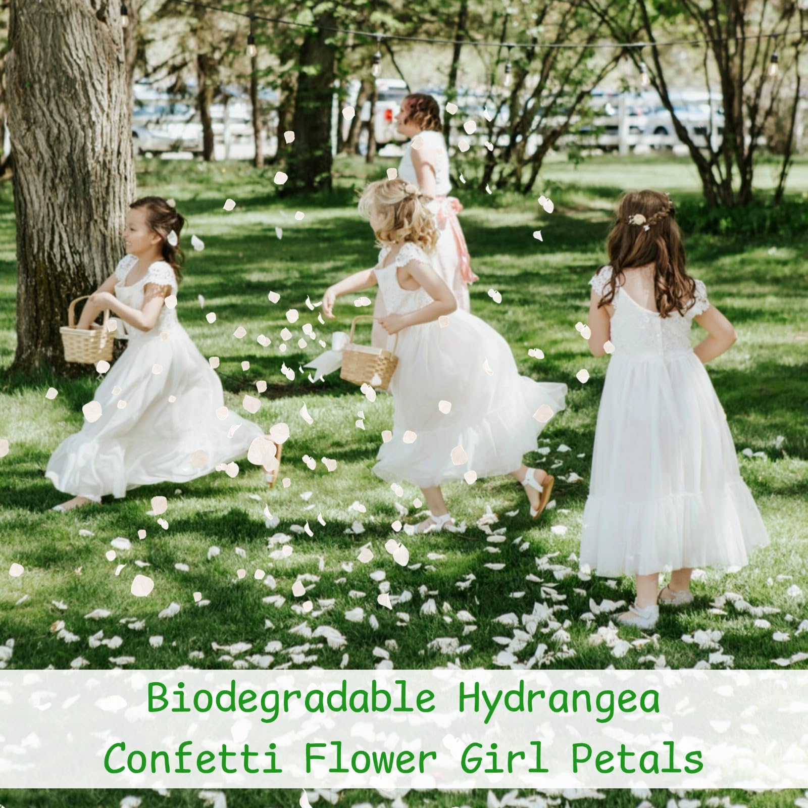 Gifugi hydrangea petals add romance to DIY crafts and handmade cards.