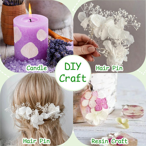 Gifugi ivory petals show natural charm with subtle marks for authentic visuals.