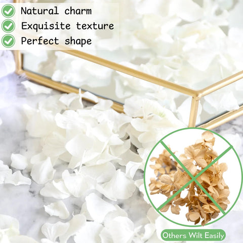 Gifugi dried petals suitable for resin art and candle making projects.
