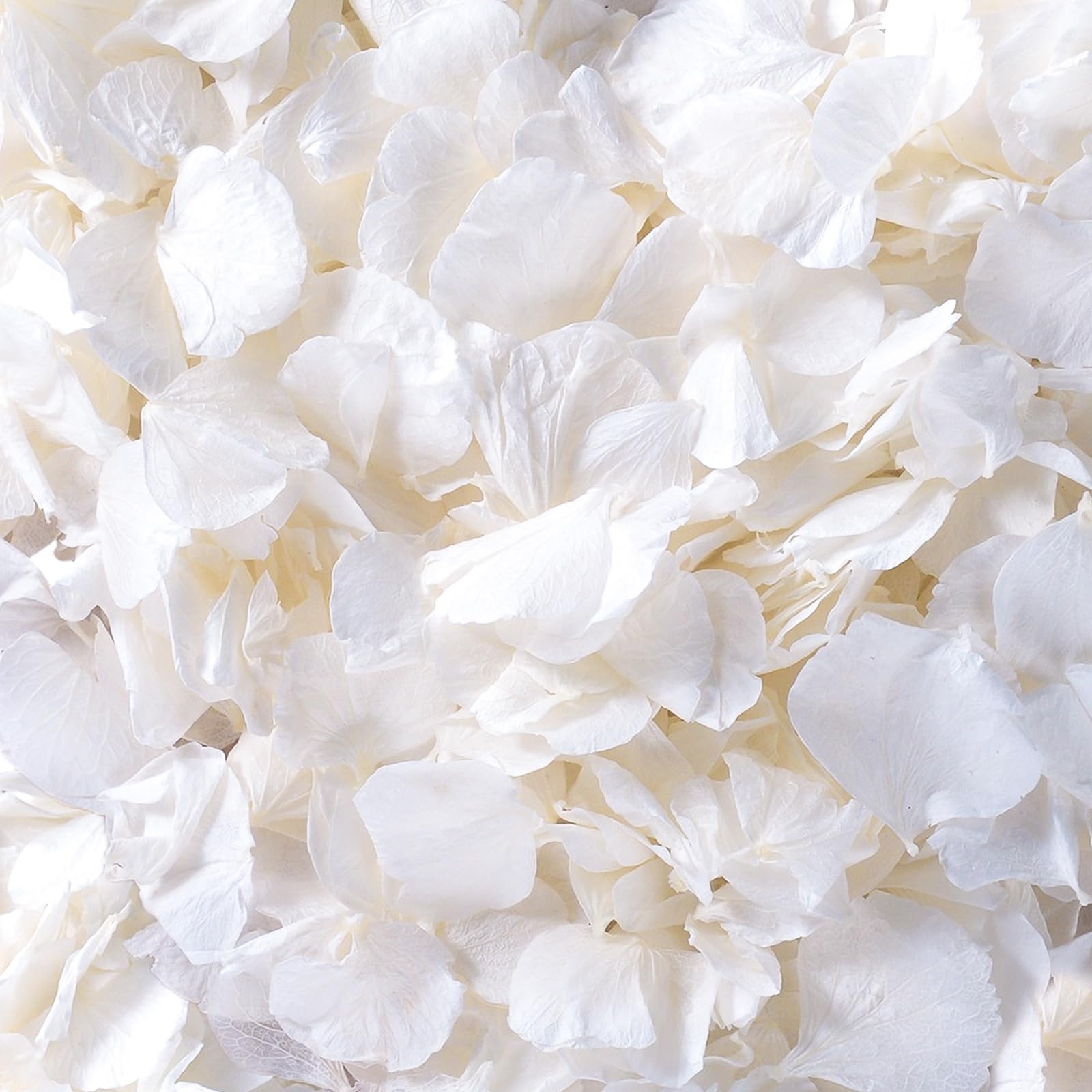 Gifugi ivory white dried hydrangea petals pack for elegant wedding confetti and decor.