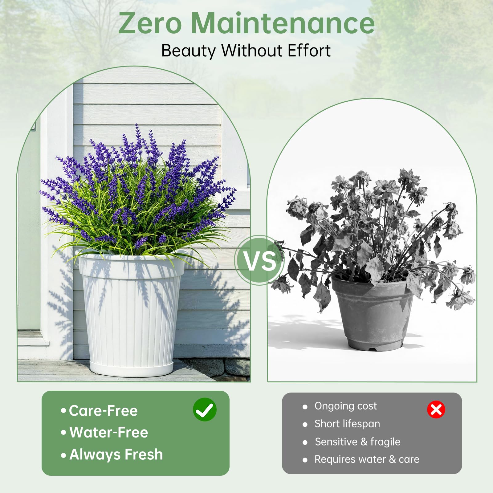 Gipsot dense lavender stems create fuller planters