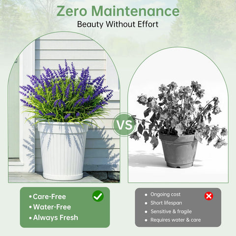 Gipsot dense lavender stems create fuller planters