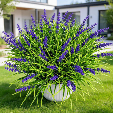 Gipsot 15 bundles outdoor lavender for year round color