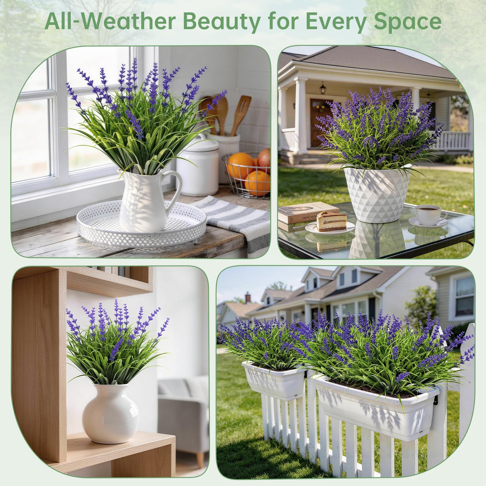 Gipsot zero maintenance lavender ideal for porches