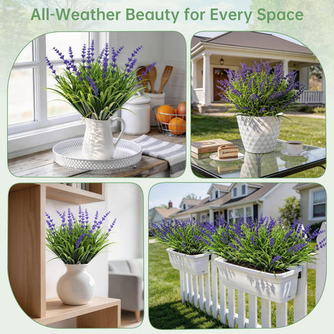 Gipsot zero maintenance lavender ideal for porches