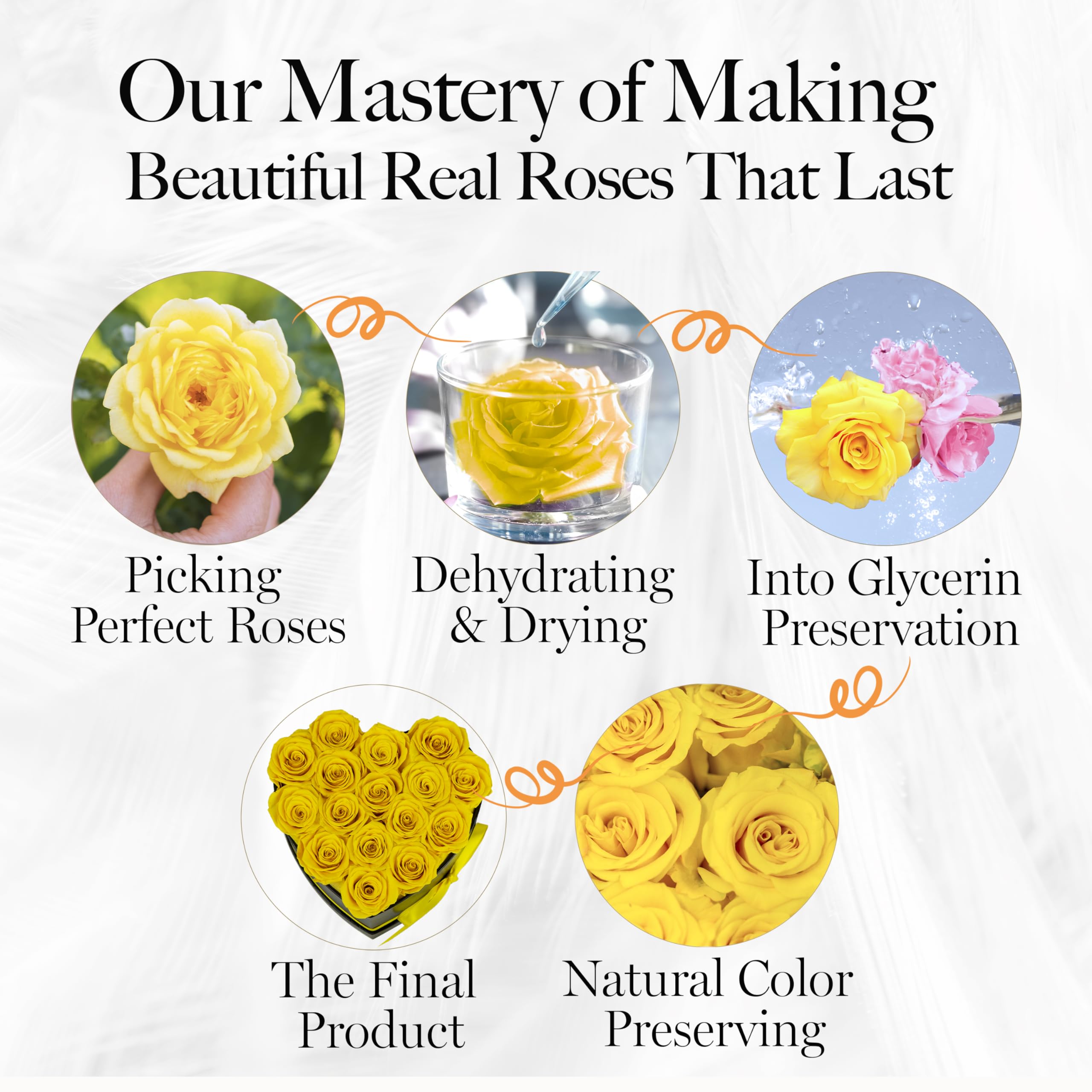 GLAMOUR BOUTIQUE elegant home decor roses for enduring charm