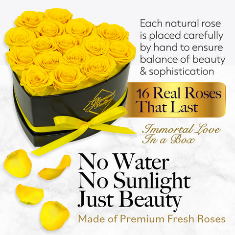 GLAMOUR BOUTIQUE preserved rose close-up showing natural detail