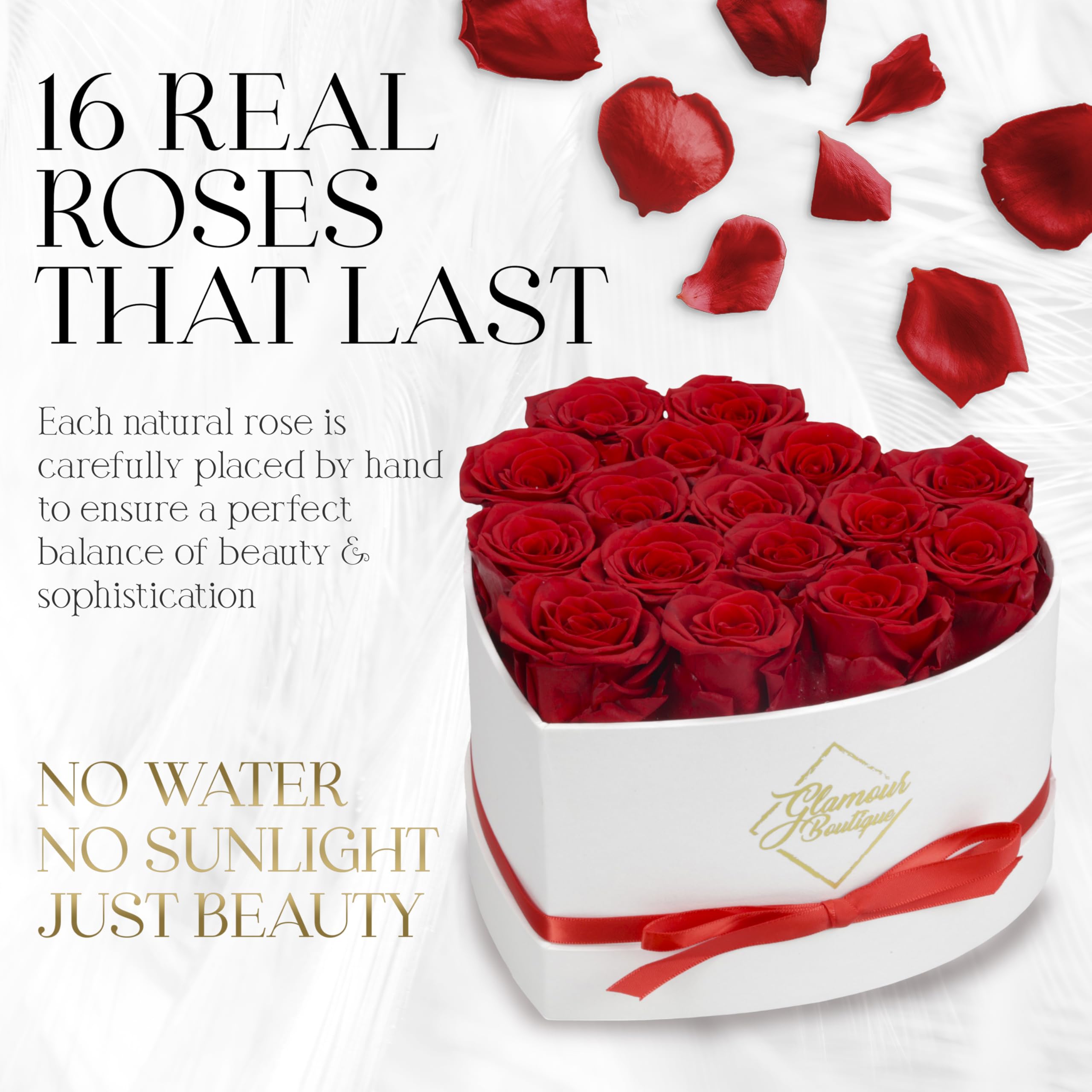 GLAMOUR BOUTIQUE preserved roses box red-16 closeup, vibrant petals, long-lasting color for display.