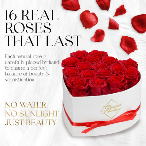 GLAMOUR BOUTIQUE preserved roses box red-16 closeup, vibrant petals, long-lasting color for display.