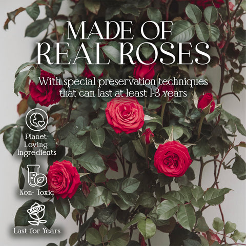 GLAMOUR BOUTIQUE preserved roses box red-16 textured-cover, premium presentation for gifting and home decor.