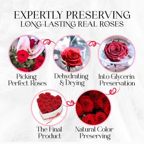 GLAMOUR BOUTIQUE preserved roses box red-16 wedding-decor, timeless elegance for ceremonies or receptions.