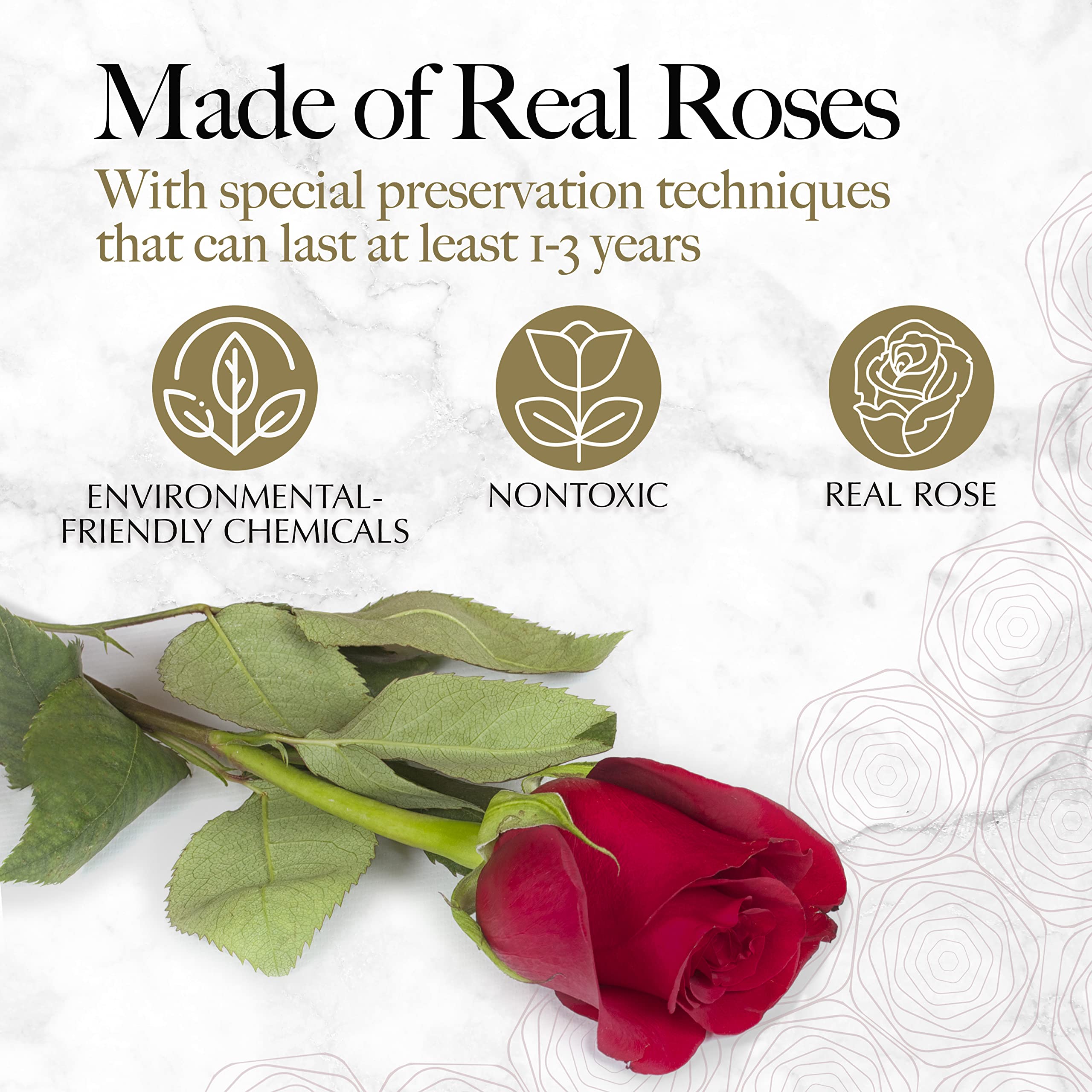 Glamour Boutique preserved roses close-up in red, lasting color