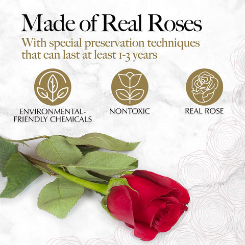 Glamour Boutique preserved roses close-up in red, lasting color
