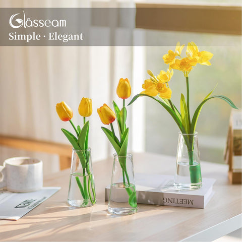 Glasseam durable soda-lime glass vase offers lasting clarity and sturdy build.