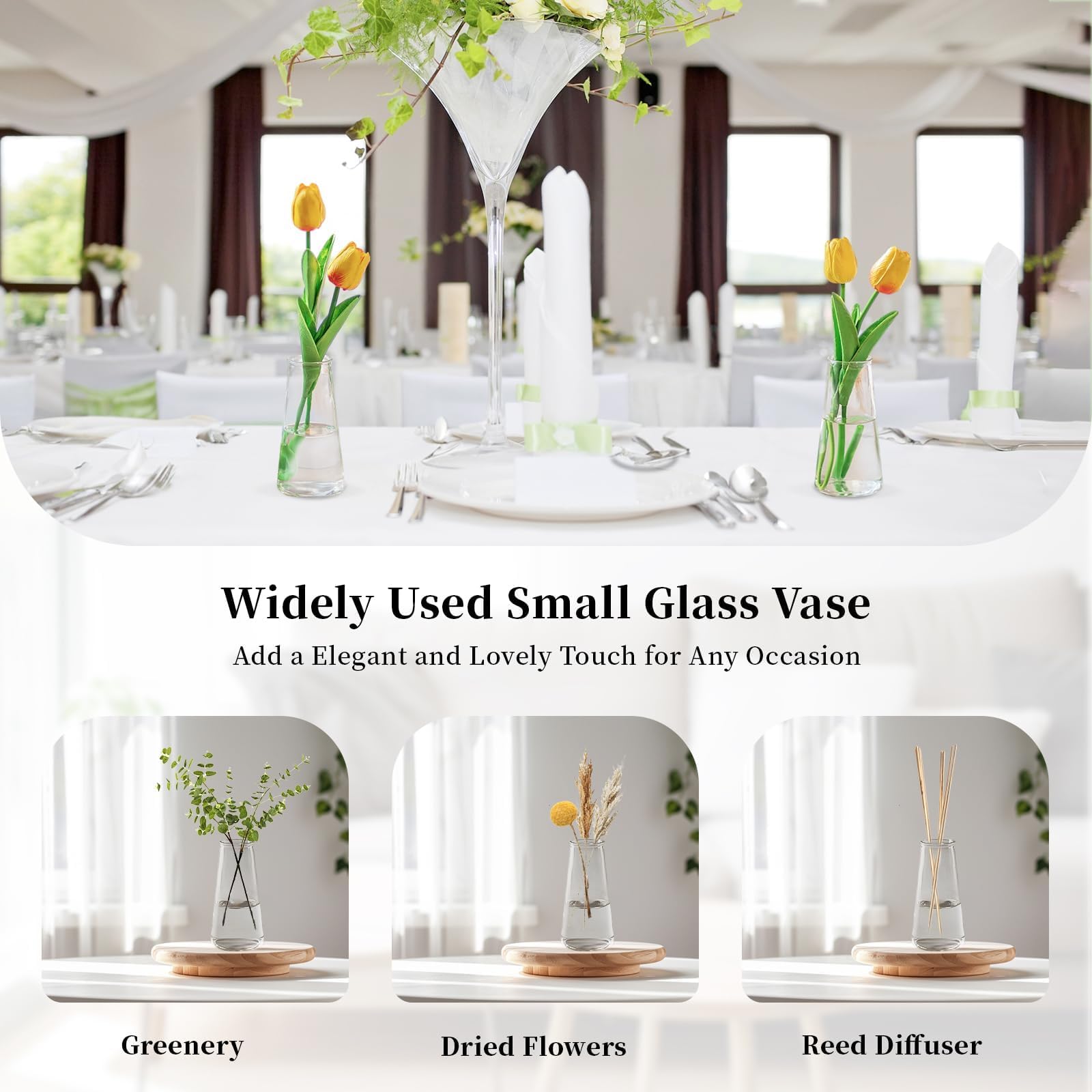 Glasseam propagation vase for rooting cuttings and small plant growth.