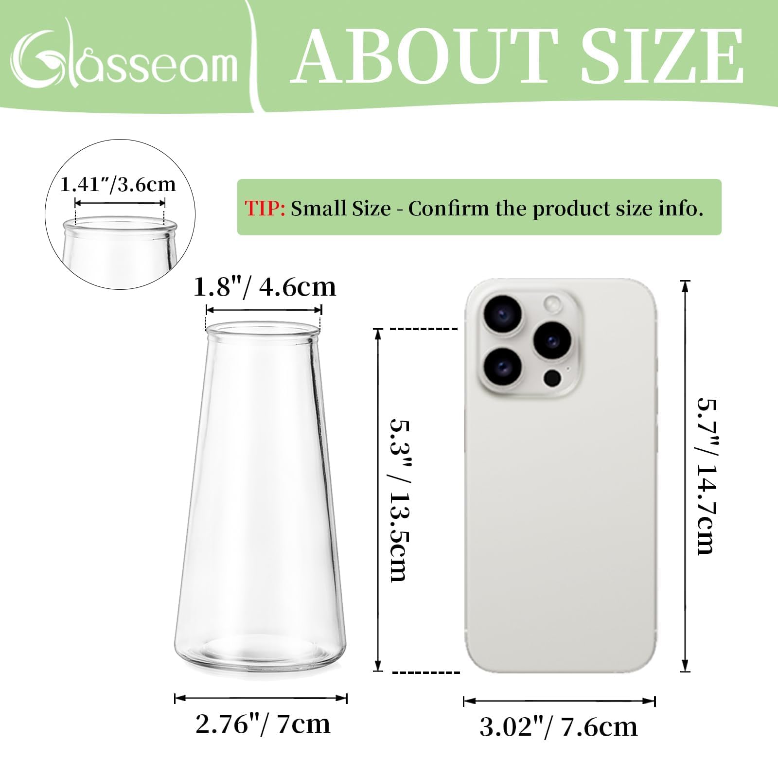 Glasseam small bud vase rose tulip display holds 2-4 stems with chic simplicity.