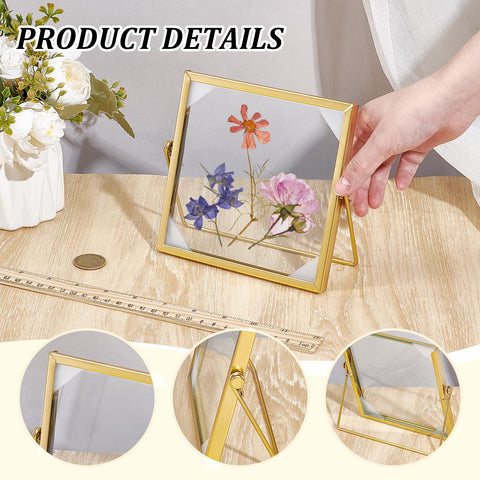 Glasswinds double glass frame highlights preserved botanicals in bright light.