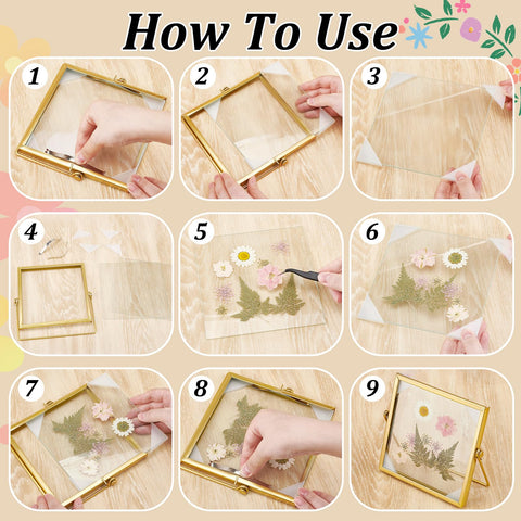 Glasswinds 6x6 frame set eases display of dried flowers and keepsakes.