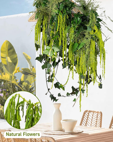 Glicrili Amaranthus preserved amaranthus adds vibrant neon color to wall art.