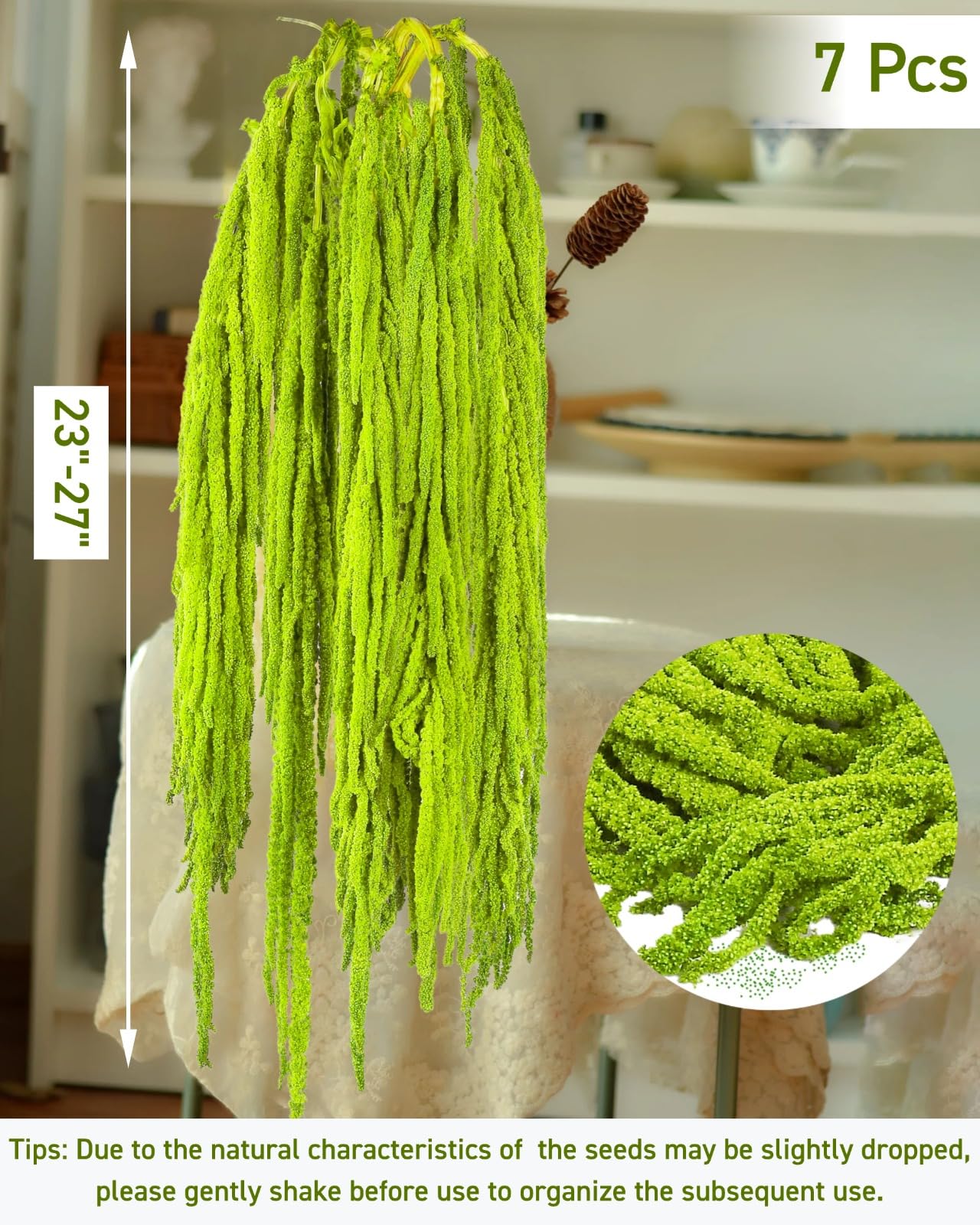 Glicrili Amaranthus waterfall display provides dramatic visual interest in groupings.