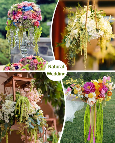 Glicrili Amaranthus for wedding arch—lush, cascading greenery that photographs beautifully.