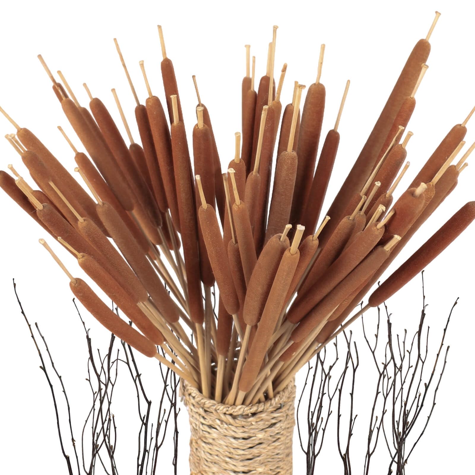 Glicrili 45pcs cattails bundle in 17-inch height ideal for tall vase displays.