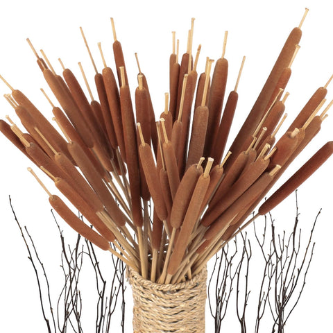Glicrili 45pcs cattails bundle in 17-inch height ideal for tall vase displays.