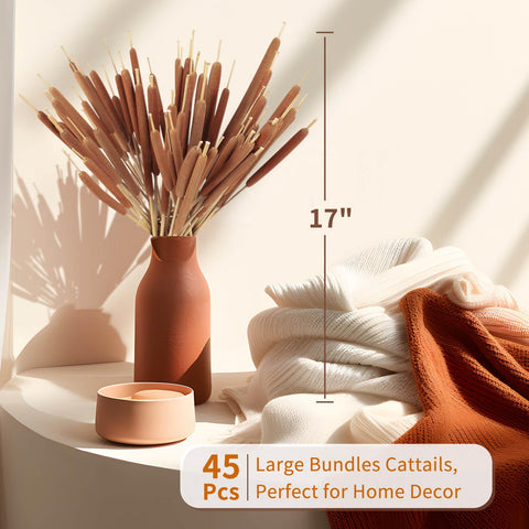 Glicrili dried cattails in tall vase create stately natural focal point.