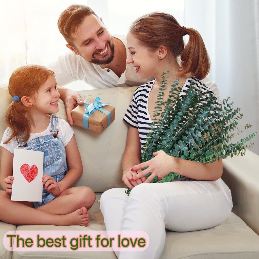 Glicrili dried eucalyptus bundle serves as versatile vase filler.