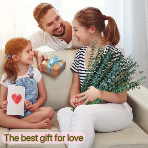 Glicrili dried eucalyptus bundle serves as versatile vase filler.