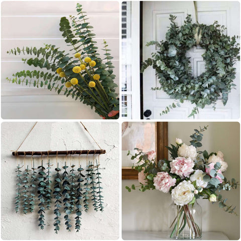 Glicrili eucalyptus stems add evergreen color and texture for DIY arrangements.