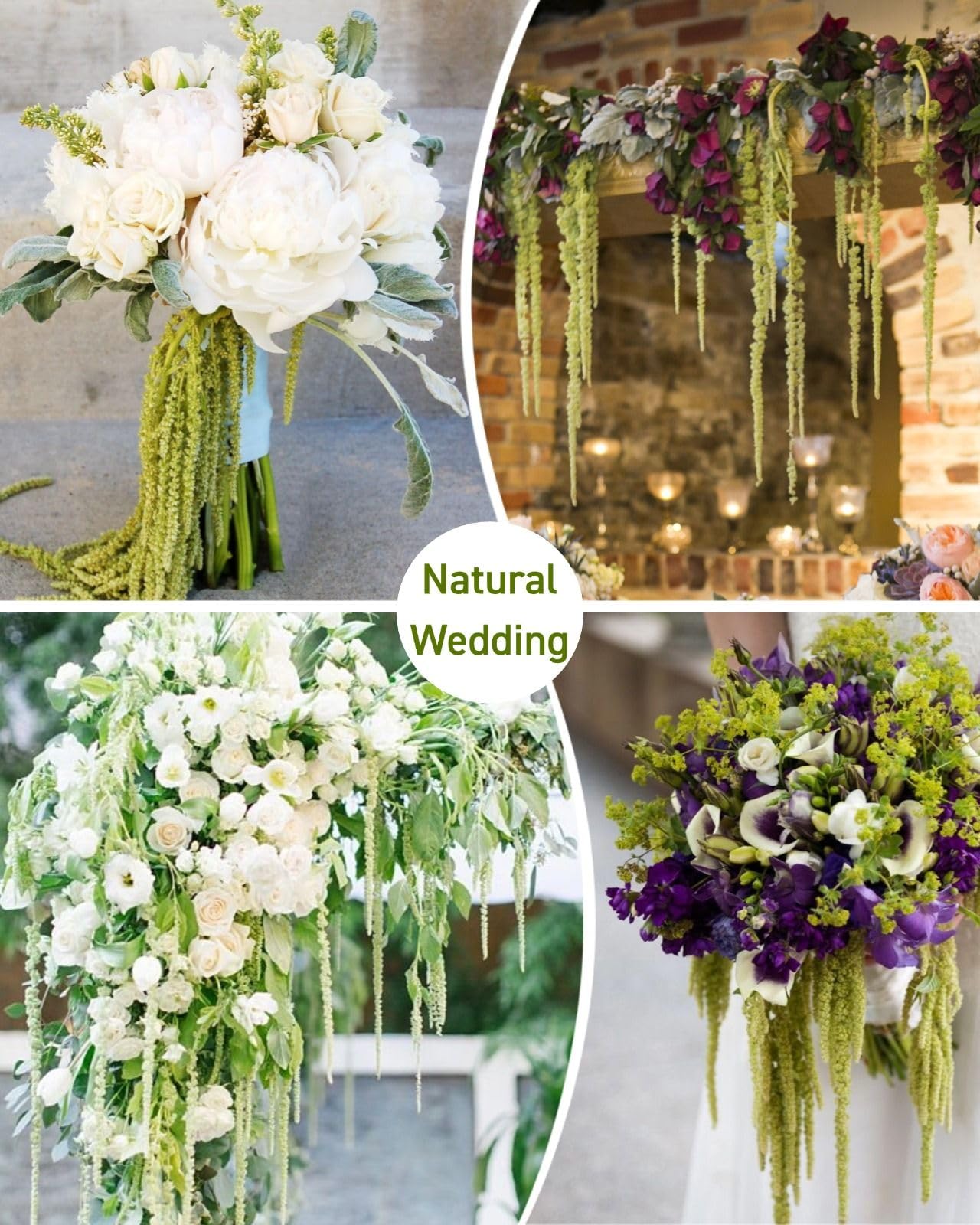 Glicrili neon green amaranthus arch decoration for wedding scenes.