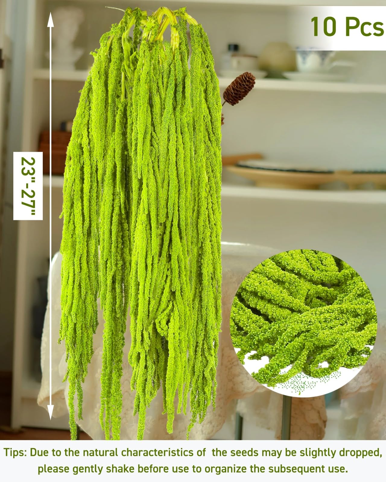 Glicrili neon green amaranthus stems drape over shelves for texture.