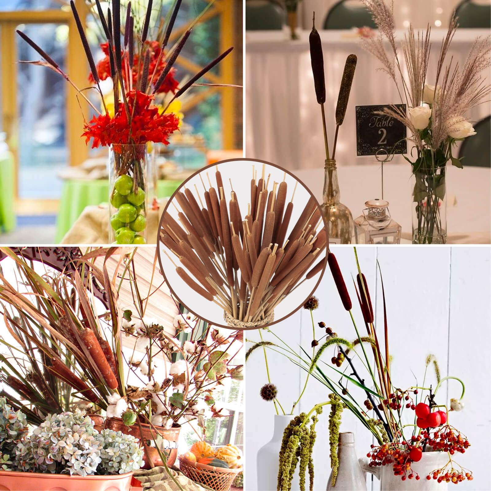 Glicrili packaging box-ready cattails, an eco-friendly gift option.