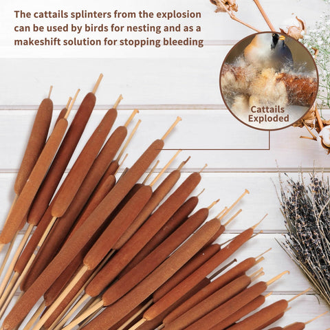 Glicrili wedding decor cattails add rustic charm to setups.