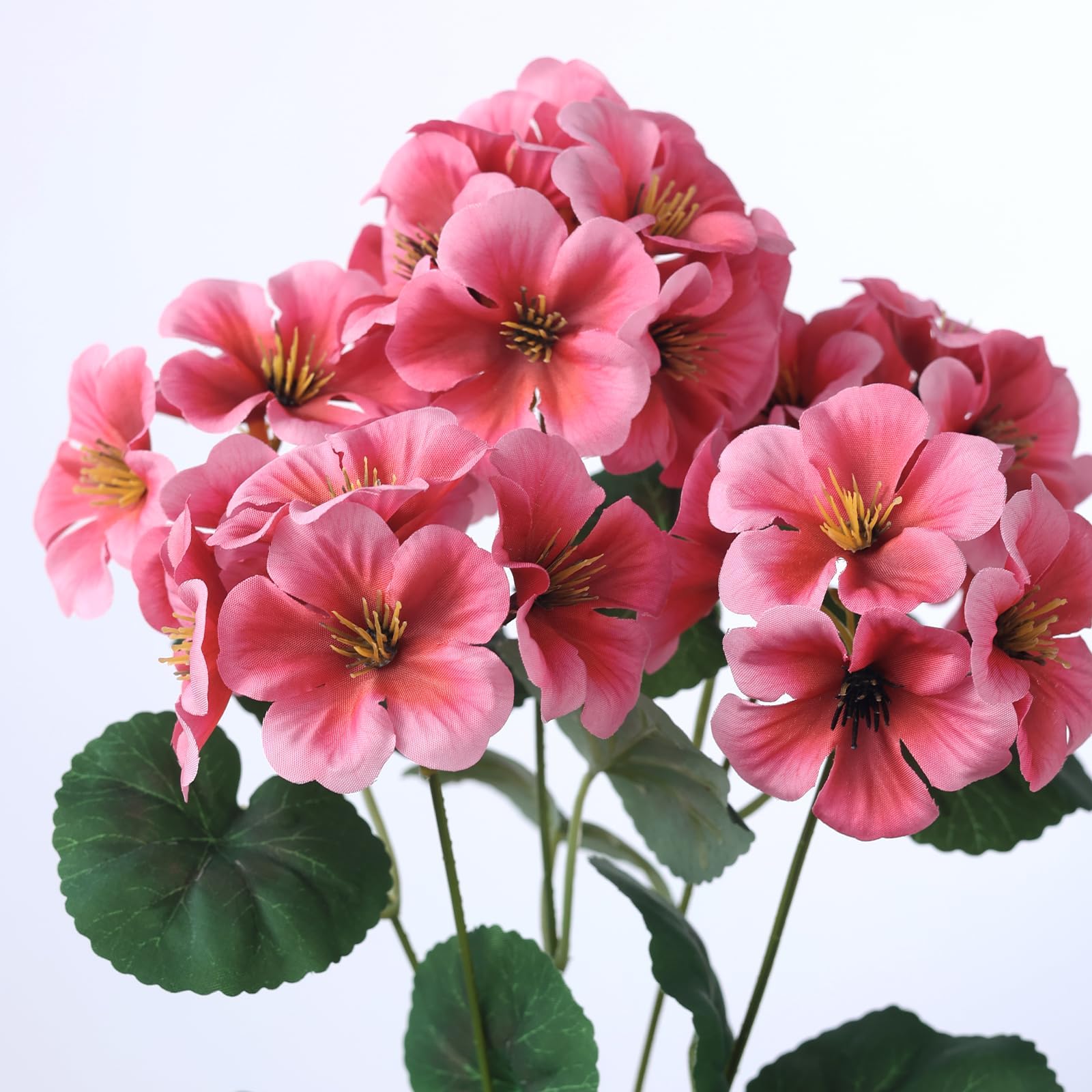 GLIDLION geranium 12-inch stems with multiple branches appear lush.