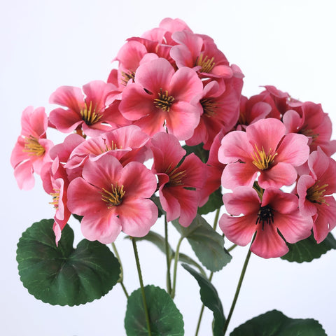 GLIDLION geranium 12-inch stems with multiple branches appear lush.