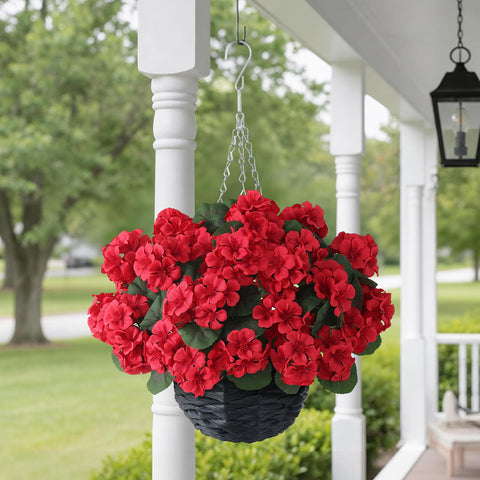 GLIDLION geranium hanging basket red full-bodied—22 inches tall and 16 inches wide.