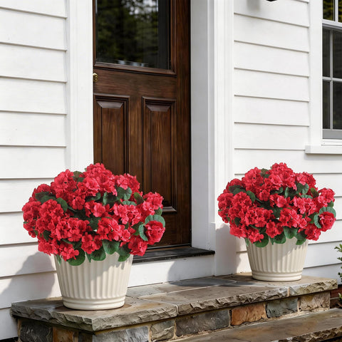 GLIDLION geranium topiary in a garden setting for year-round color