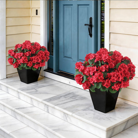 GLIDLION geranium topiary side view showing sturdy silhouette for exteriors