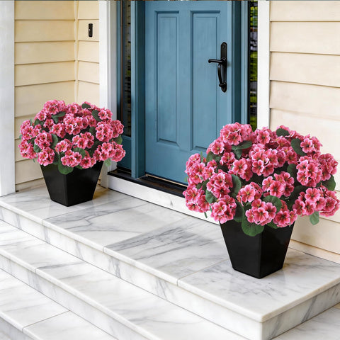 GLIDLION geranium topiary close-up blossoms with vivid color.