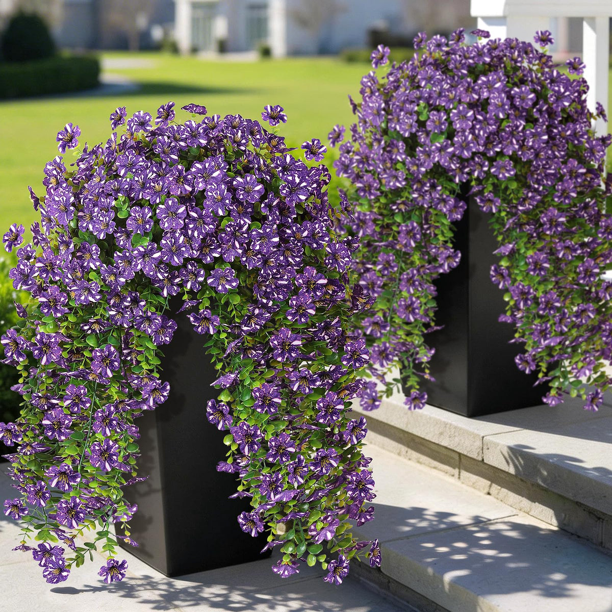 GLIDLION morning glory starry sky closeup, vibrant purple with white dots for outdoor decor.