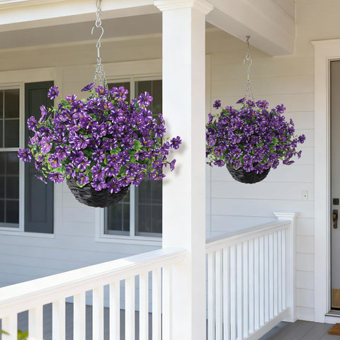 GLIDLION purple starry sky morning glory in a hanging basket for outdoor display