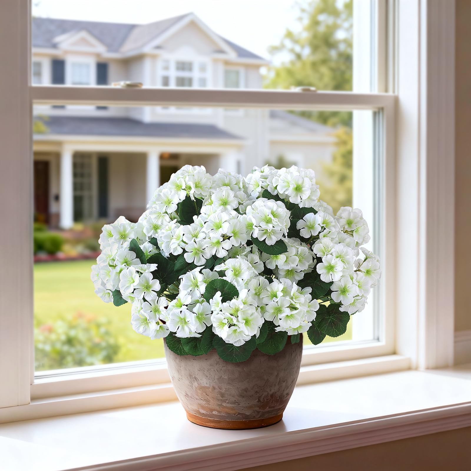 GLIDLION UV-resistant geraniums maintain color through sun and weather