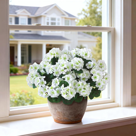 GLIDLION UV-resistant geraniums maintain color through sun and weather