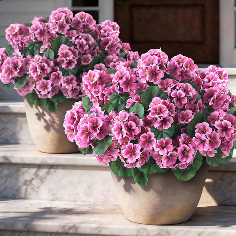 GLIDLION durable artificial geraniums ready to display anywhere.
