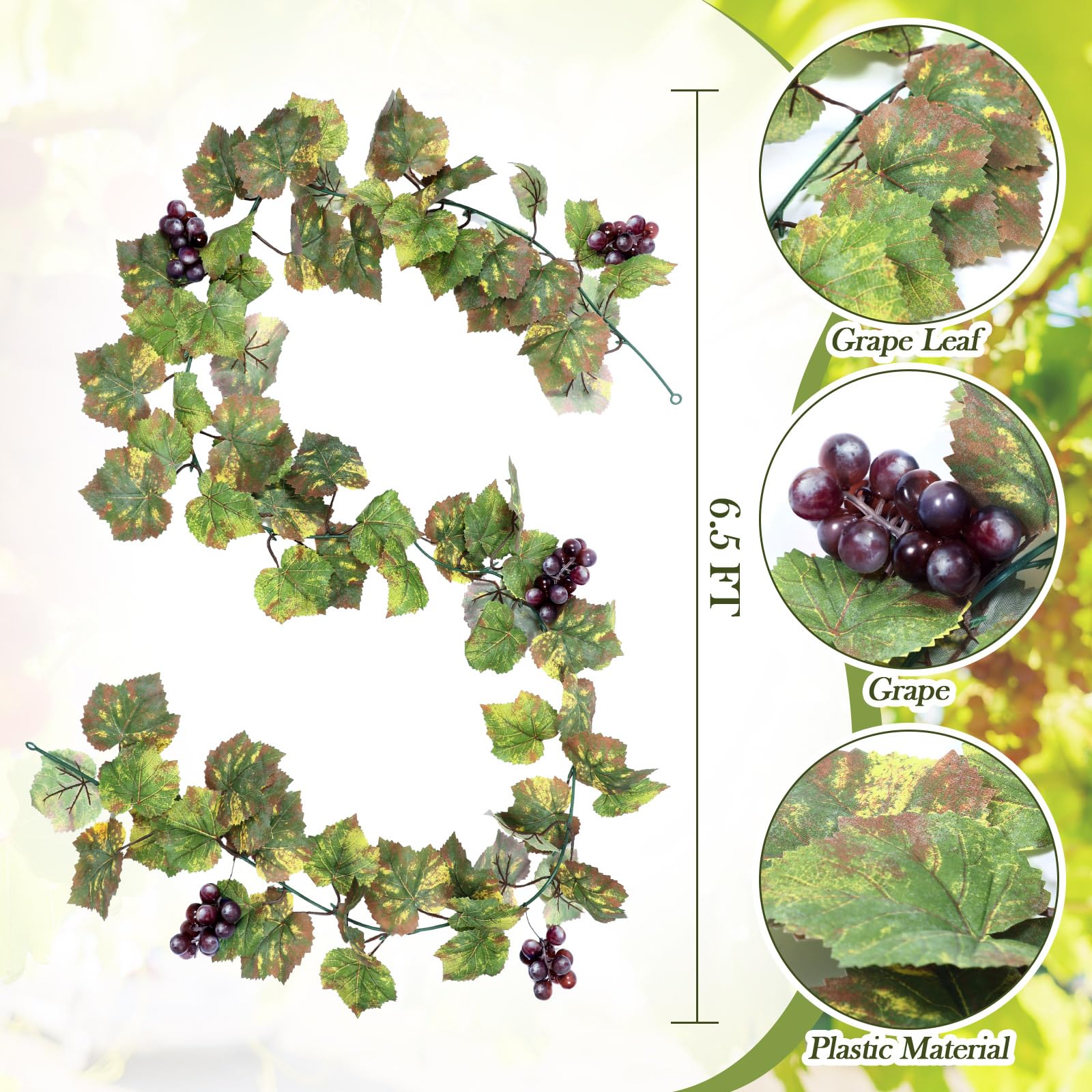 Close-up of Glitinsel grape leaves with deep purple grape clusters.