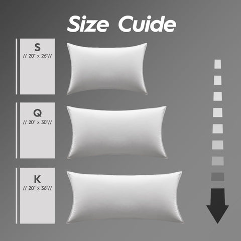 Globon Ultra Soft Down Pillow Queen packaged image signaling easy setup and value.