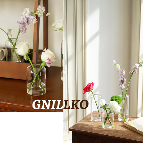 GNILLKO Glass Bud Vases arrive with sturdy packaging protection