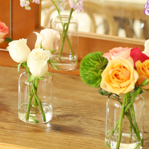GNILLKO Glass Bud Vases narrow mouth design highlights small blooms